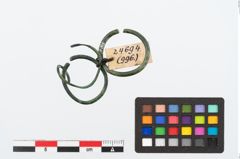 Foto von Bronzering (NHMW-PRAE-024694)
